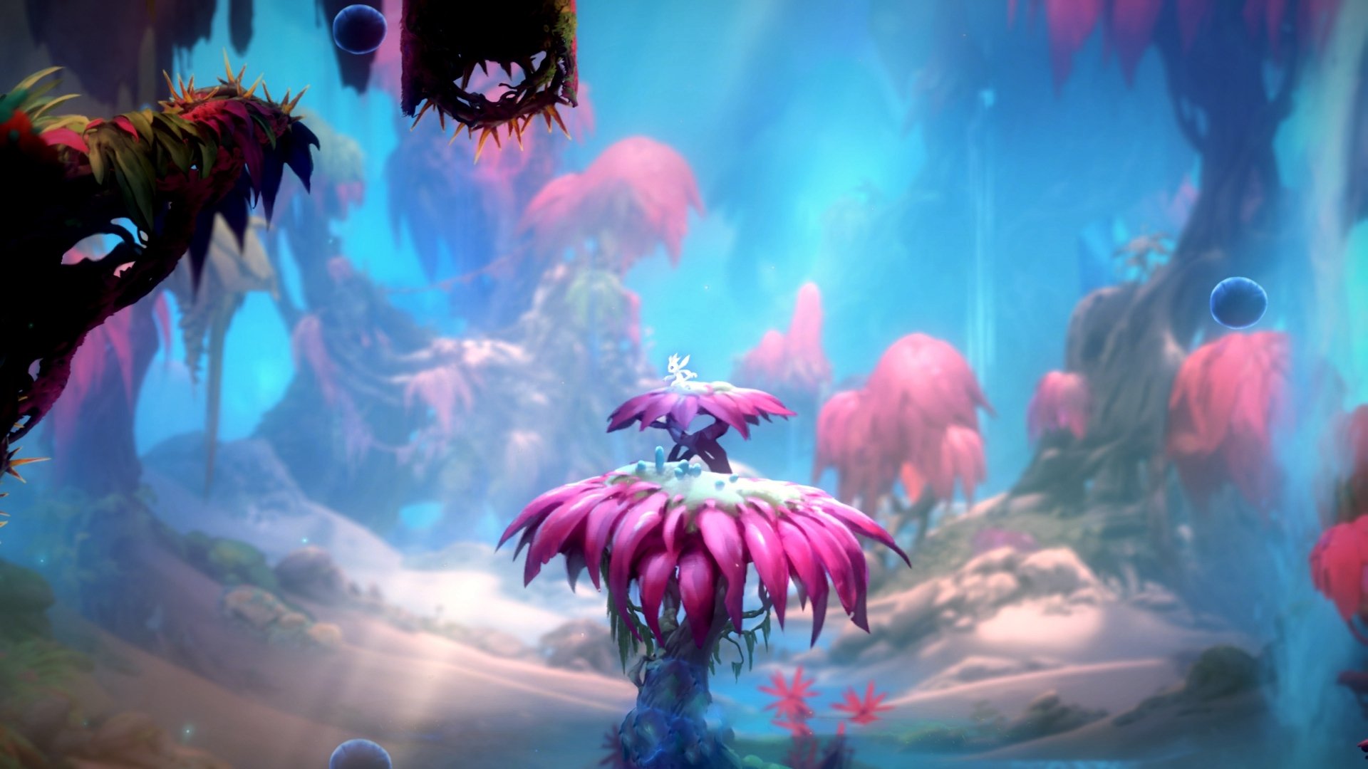 奥斯梅恩谈判破裂,转向其他目标,奥斯梅恩什么水平