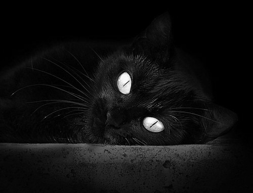 奥预赛中国青年队爆冷 球迷建议加强训练