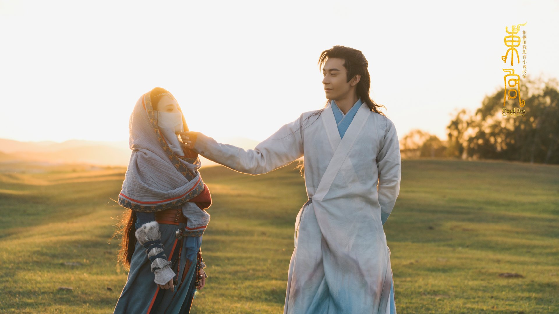 蝶泳划水效率值首次用于分段评分，蝶泳的划水动作轨迹是三维的