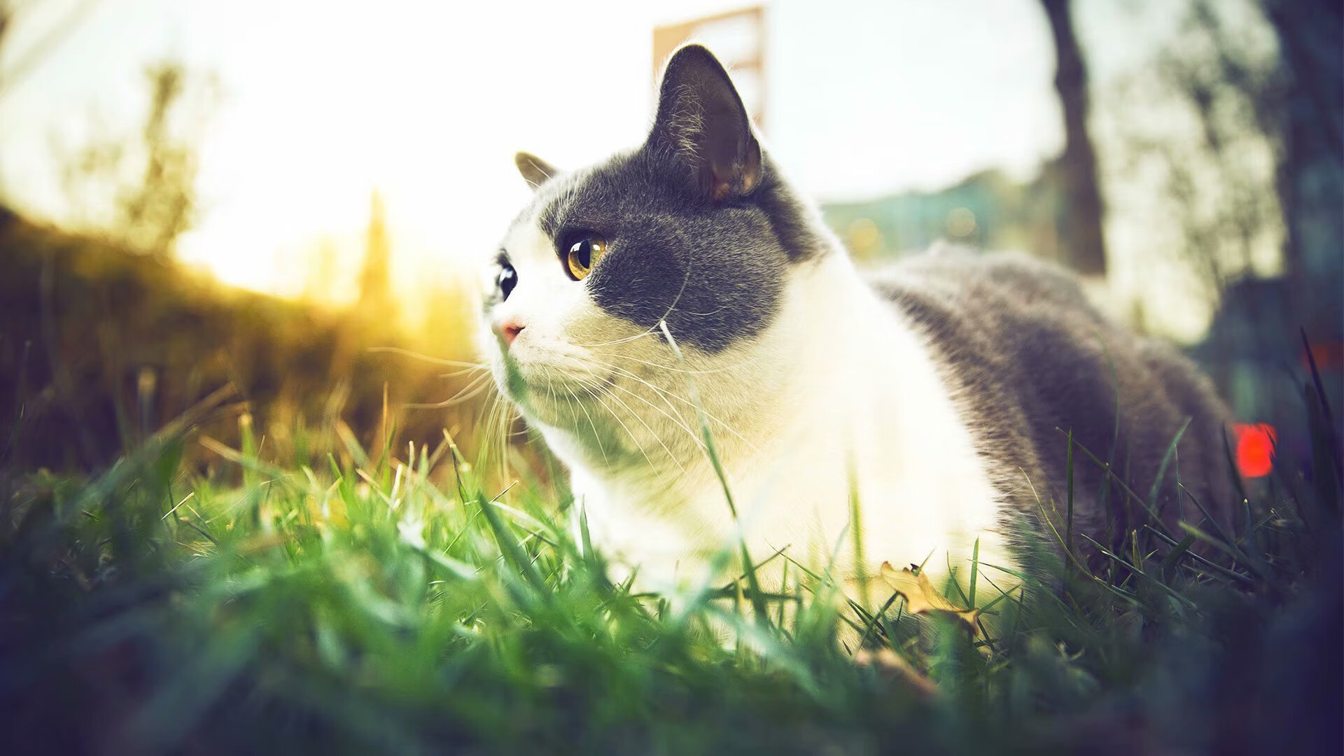 运动康复科普讲座走进社区和学校，运动康复科普讲座走进社区和学校的感受