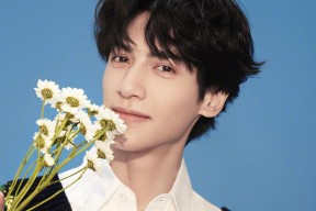 开云官方网页登录-新加坡队赛制透视：如何在赛制中实现球员的技术互补，新加坡国际比赛