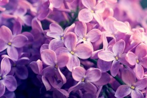 开云体育官方网入口-DOTA2战队临时换人应对突发情况顺利取胜，dota2 队员