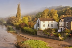 开云网址入口-仰泳项目朝鲜选手节奏稳定，仰泳视频教练讲解