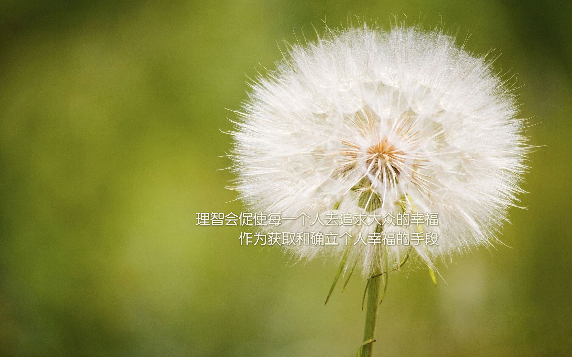 U23国足平局东亚杯 战术细节备受热议,亚足联u23