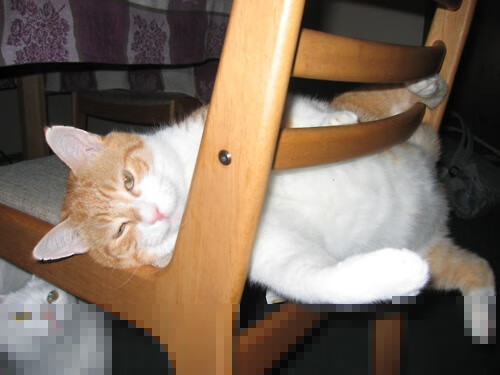 东亚杯中国女足惨败 球员技战术需提升,中国女足再战东京